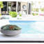 Plante succulent artificielle 2,00" en vase décoratif-243953751