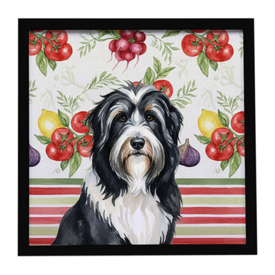 Black Bearded Collie Vegetables Framed Metal Print