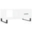 Grigoriy Coffee Table with Storage-896920048