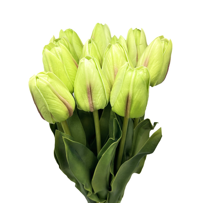 Tulip Arrangement, Green