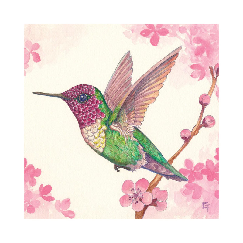 Anna's Hummingbird - Wrapped Canvas Painting, 30.48 cm H x 30.48 cm W