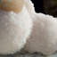 Jaboj Scolecite sur Stilbite