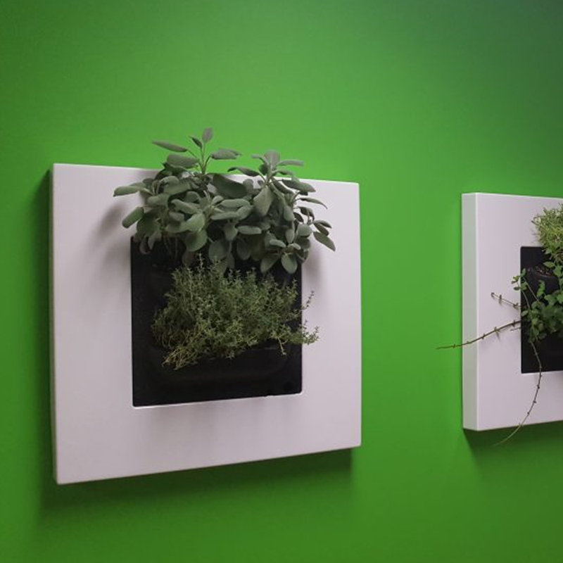 Pot de fleurs mural en plastique à arrosage automatique Noella, Blanc