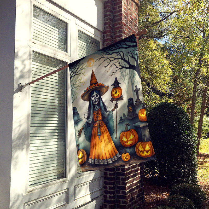 Double Sided 40'' H x 28'' W Polyester Halloween House Flag