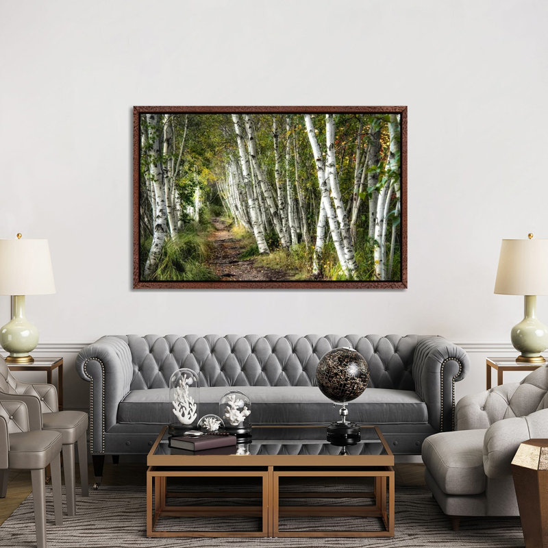 A Walk Through The Birch Trees by Danny Head - Print on Canvas, Classic Wood Framed, Classic Wood Framed