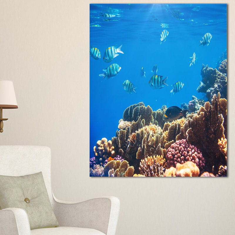 Eaux éclatantes bleues et poissons corail, reproduction de photo sur toile tendue large mer, H 32 po x l 16 po x P 1 po