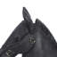 Sculpture tête de cheval en polystone Lula-547211389