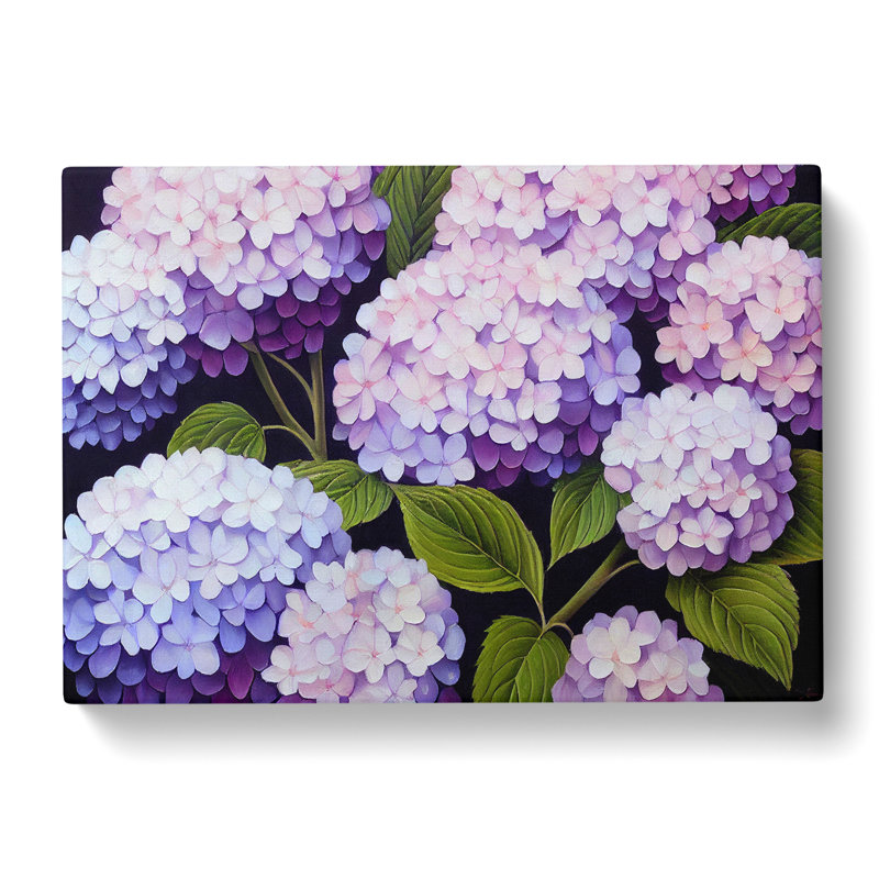 Hydrangea Flower View Vol.3 - Wrapped Canvas, 35cm H x 50cm W x 3cm D