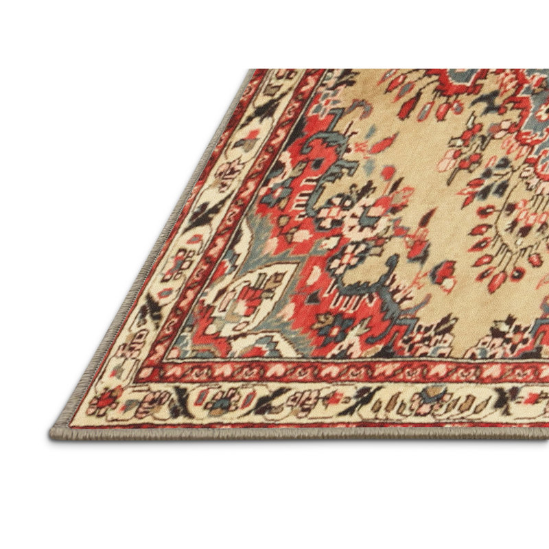 Oriental Indoor Rug, Rectangle 8' x 10'