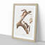 Downy Squirrels by J.W. Audubon - Picture Frame Painting Print-55545569-55545570