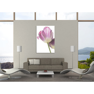 "Tulip Time IV", toile tendue par Aledanda
