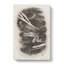 Portrait Of A Dragon - Wrapped Canvas-55322698