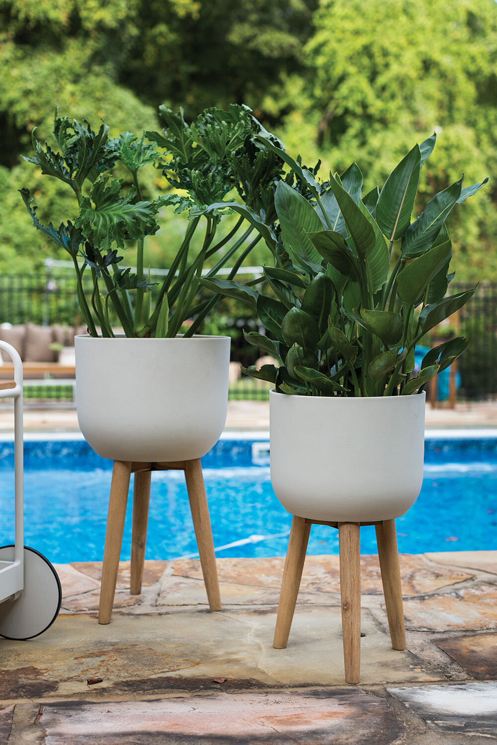 Luminara Plant Stand