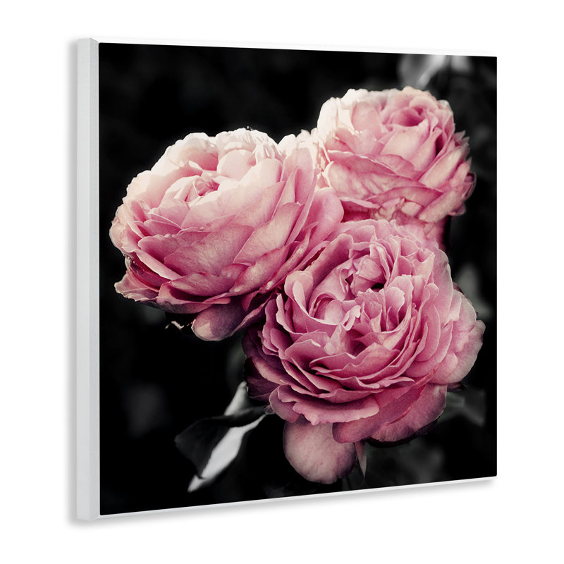 «Full Blooming Roses» par Emily Navas