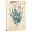« rétro-algues bleu algues vii », reproduction d’impression sur toile tendue-72690598-72690599-72690600