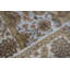 Cornwall Wool Oriental Area Rug in Light Blue/Ivory-106956652