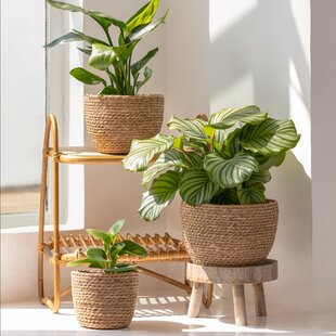 Better Homes & Gardens Assorted Round Beige Resin and Rattan Plant Planter  (2 Pieces) with Drainage Hole