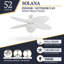 Ventilateur de plafond d'intérieur 52 po Solona