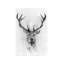 Red Deer by Alexis Marcou - Wrapped Canvas Print-56675109-42155755