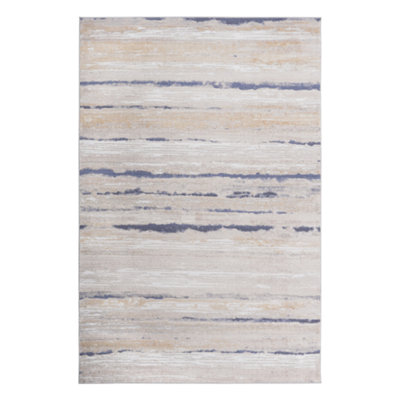 Non-Shedding Living Room Bedroom Dining Home Office Stylish and Stain Resistant Area Rug