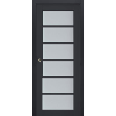 Veregio Frosted Glass Paneled Wood Sliding Closet Door