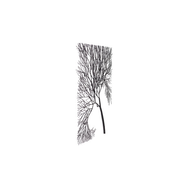 Amazon.com: Canvas Prints Wall Art - Tree Silhouette Artistic Tree with  Branch and Leaves in Black and White | Modern Wall Decor/Home Art Stretched  Gallery Canvas Wrap Giclee Print & Ready to