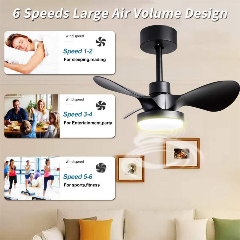 24" Small  Ceiling Fan With Light Remote Control, Black