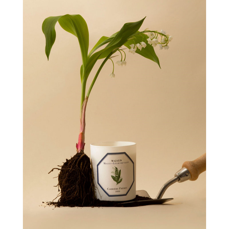 Lily Of The Valley Candle