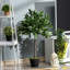 90cm Faux Tree in Pot