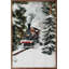 Winter Mountain Train-1125567648