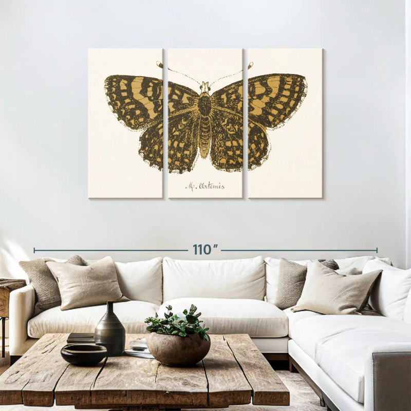Brampt antique papillon II, H 48 po x l 74 po