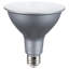 21 Watt Silver Bulb