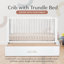 HushCrib 3-in-1 Convertible Crib with Trundle, Toddler Bed, Daybed, White