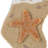 3D Starfish Hooked Stocking