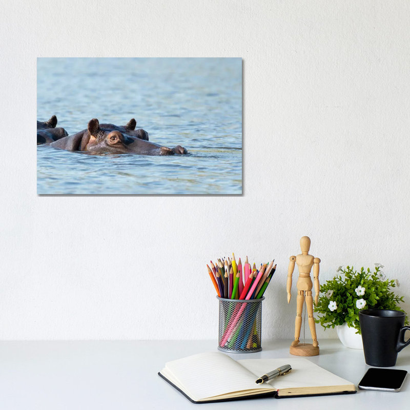 Africa, Botswana, Chobe National Park. Hippopotamus's Head Above Water's Surface. - Wrapped Canvas Print
