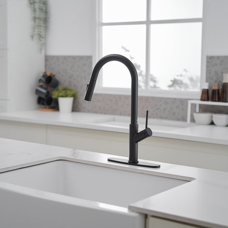 VIBRANTBATH Pull Out Kitchen Faucet, Matte Black