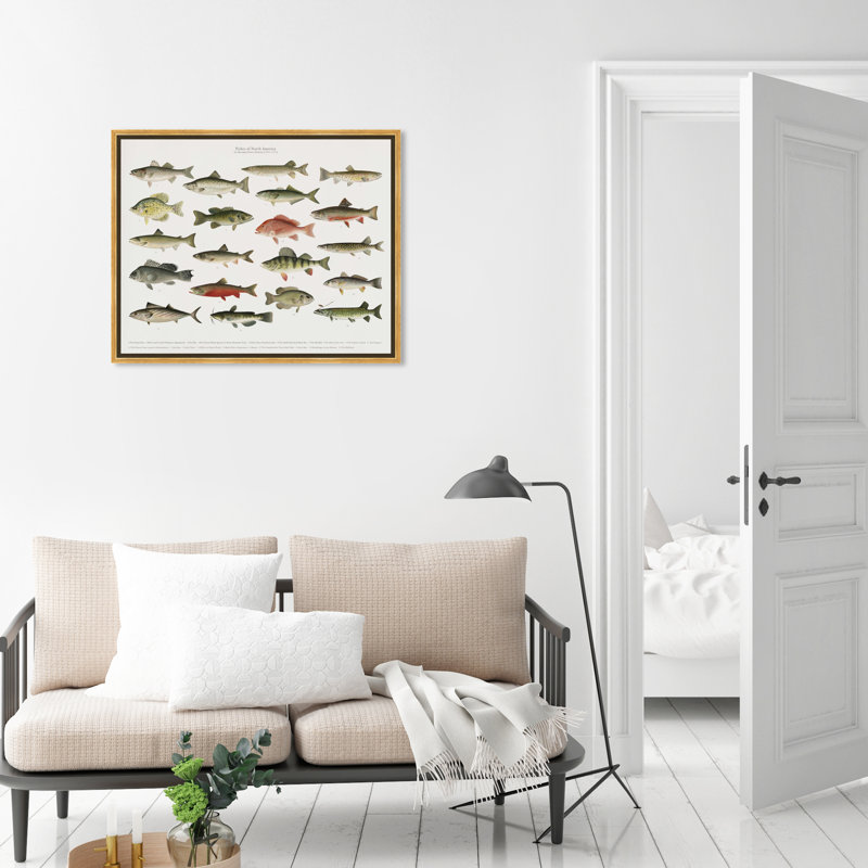 " American Fish " Painting Print, 24" H x 20" W, Gold Framed