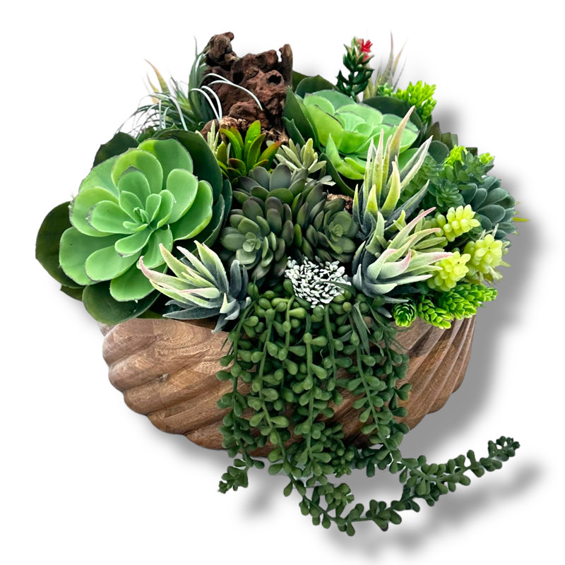 Conception succulente dans un vase circulaire en bois texturé brun clair