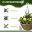 Hanging Basket Arrangement in Pot
