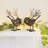Set of Two Small Wire Winged Robin Decorative Ornament