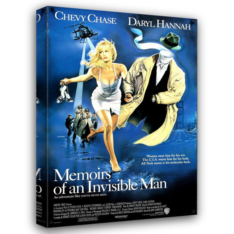 Mémoires d'un homme invisible, H 40 po x l 27 po