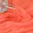 Corail
