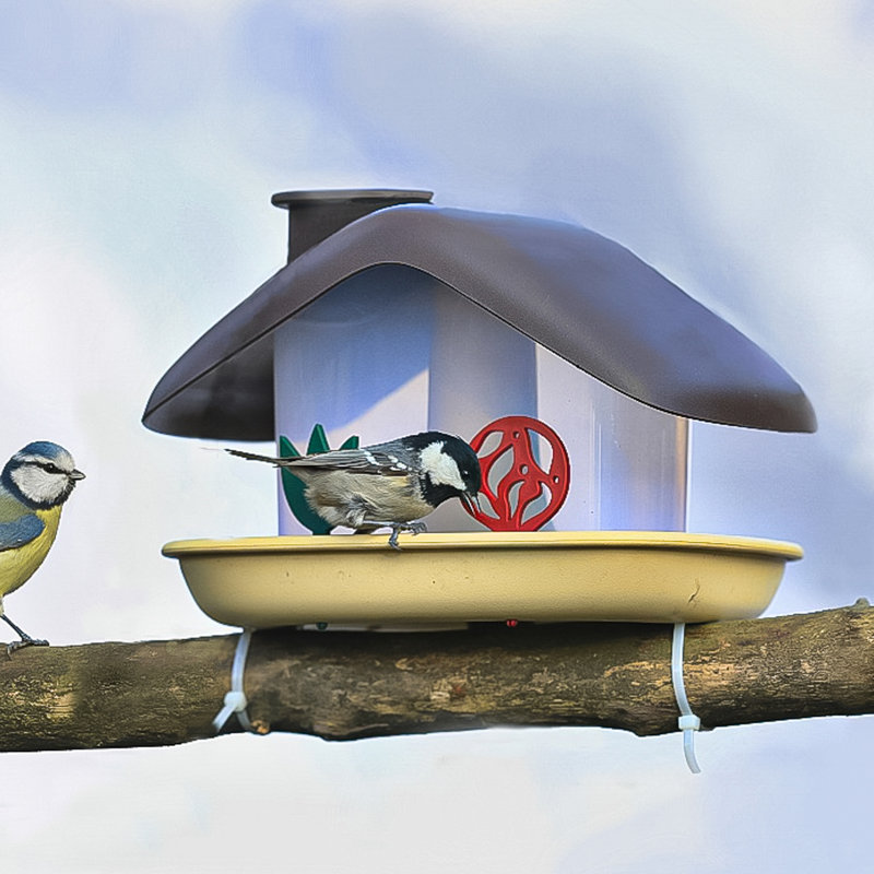 Mangeoire d'oiseaux décorative Shushan