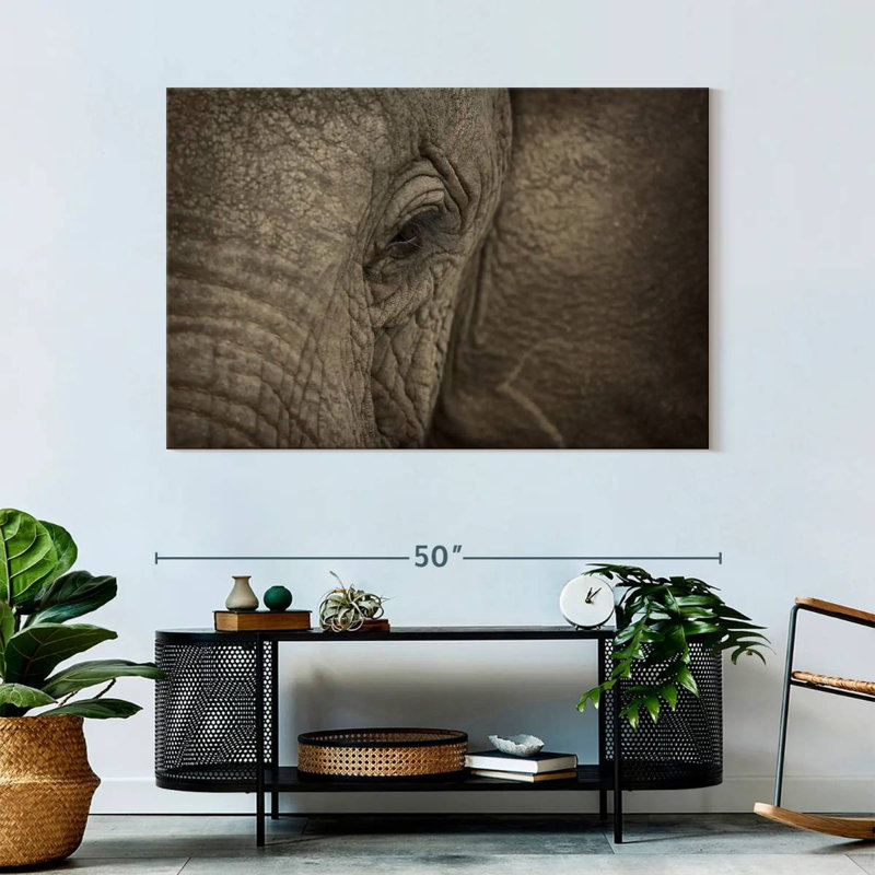 Brampt African Elephant Eye, 32" H x 48" W