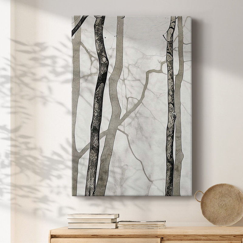 Shadowed Tree Trunks II Framed On Canvas Print, 27" H x 18" W