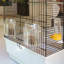 60.5cm Table Top Bird Cage with Perch
