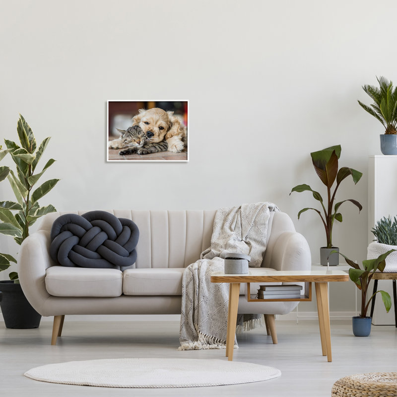 «Ba-362» par Peter Cech, Giclée encadrée blanc bord de mer, H 16 po x l 20 po x P 1,5 po