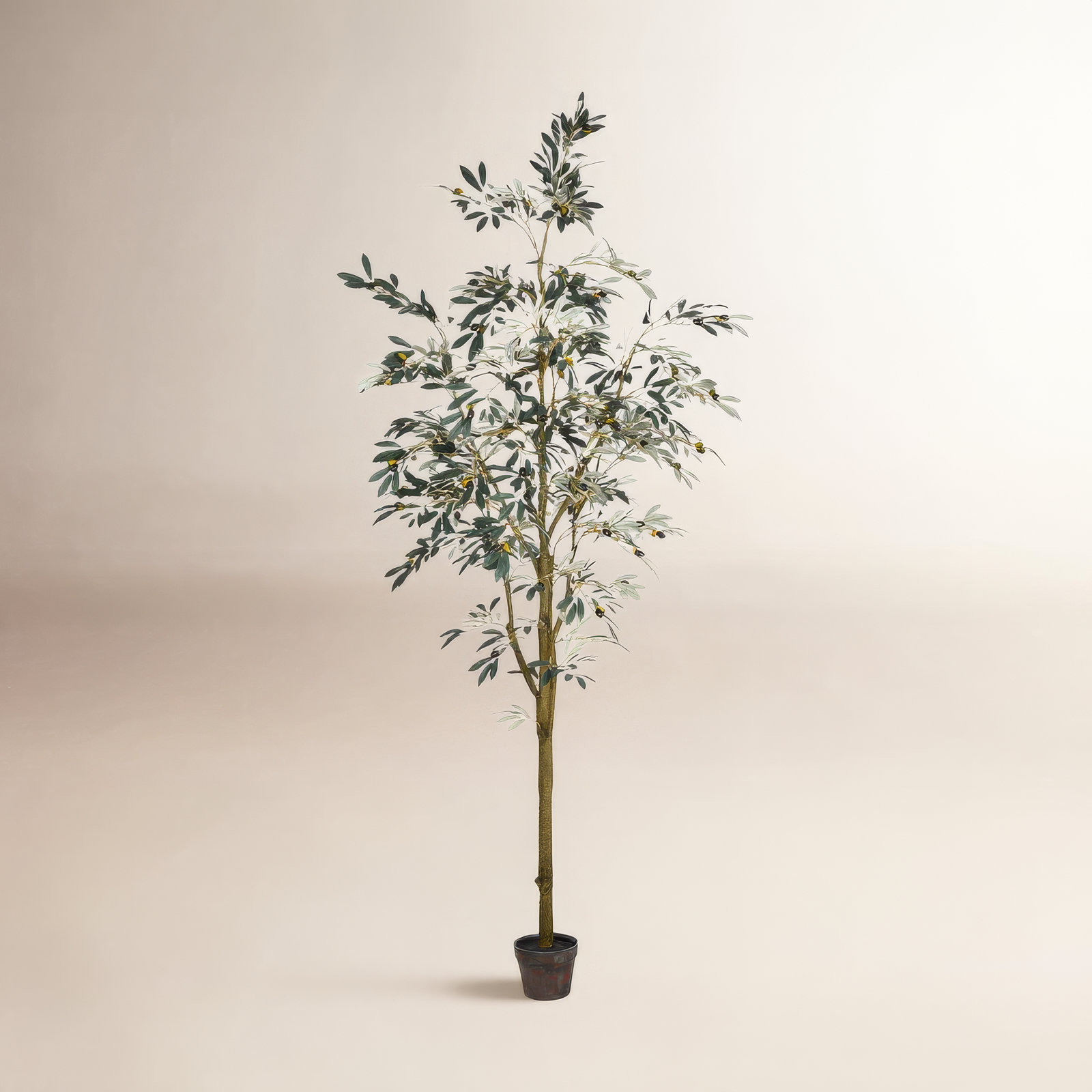 Winnetka Olive Tree in Pot, 96" H x 42" W x 42" D