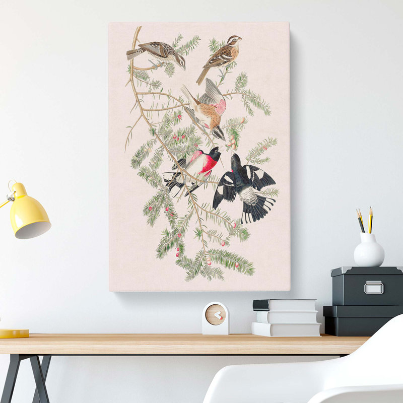 Rose-Breasted Grosbeak by John Audubon - Wrapped Canvas Painting, 76cm H x 50cm W x 3cm D