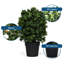 24 po Faux buis topiaire boule en pot plante d'intérieur / extérieur